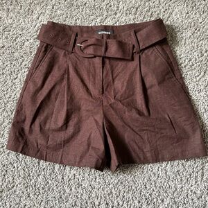 Express Chocolate Brown Shorts